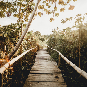 Fcww21废柴网登录入口手机版
